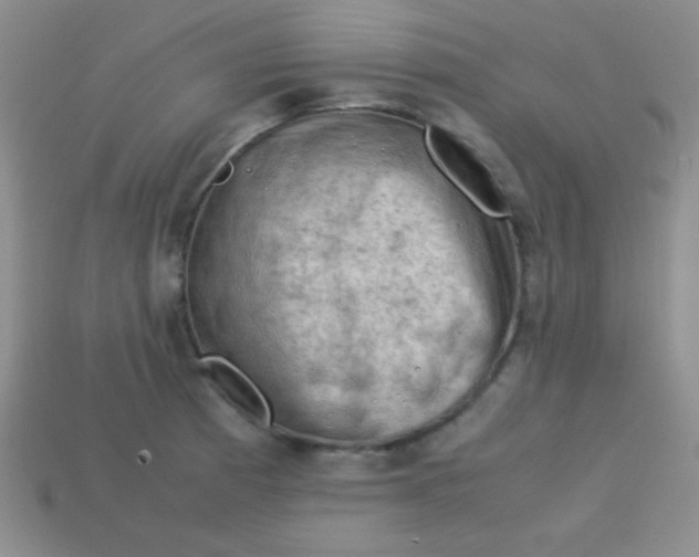 X0000113591185200910091453