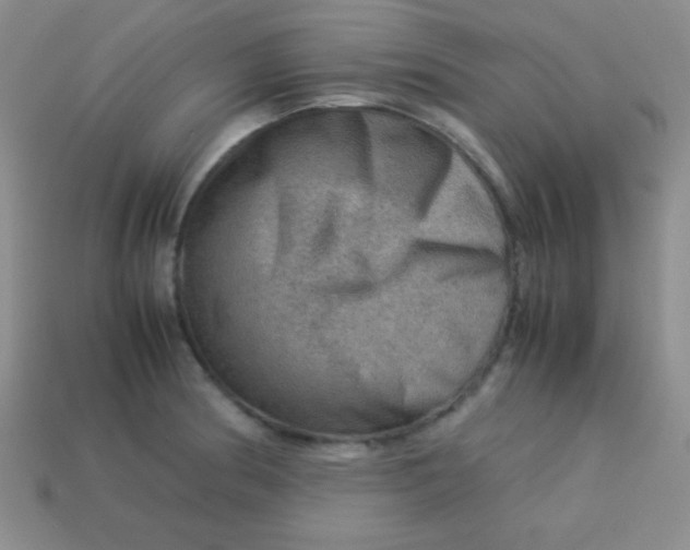 X0000113591186200910091453