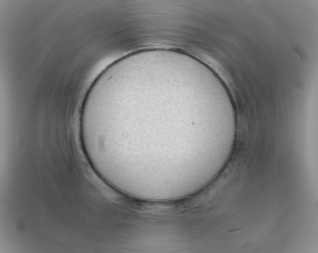 X0000113591187200910091453