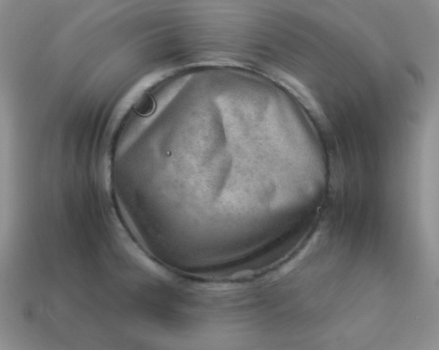 X0000113591188200910091453