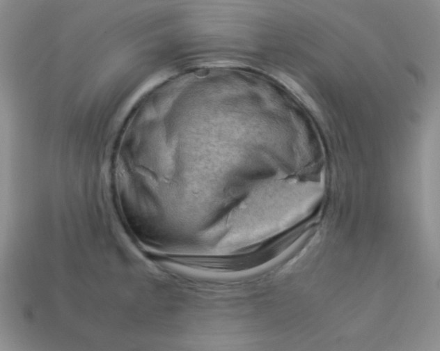 X0000113591189200910091453