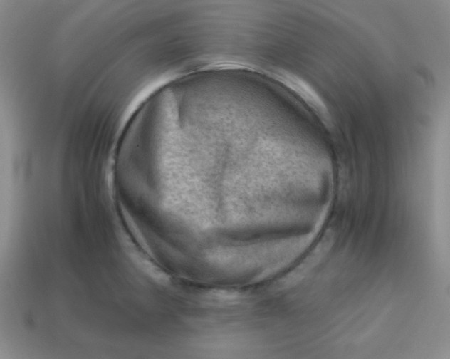 X0000113591190200910091453