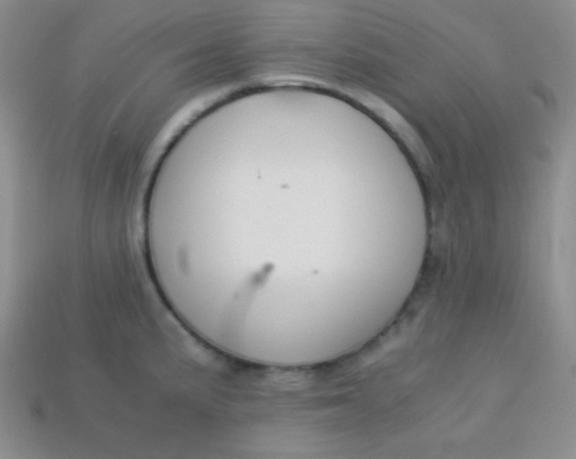 X0000113591191200910091453