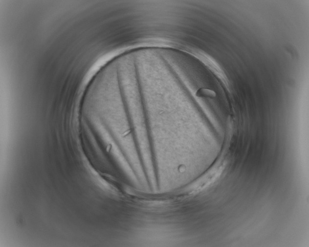 X0000113591192200910091453