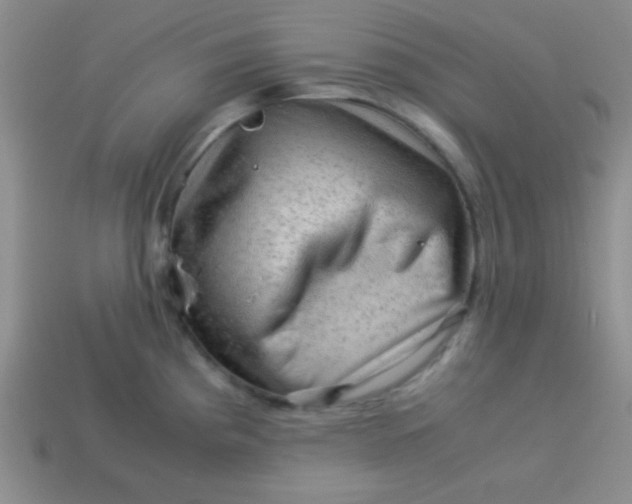 X0000113591193200910091453