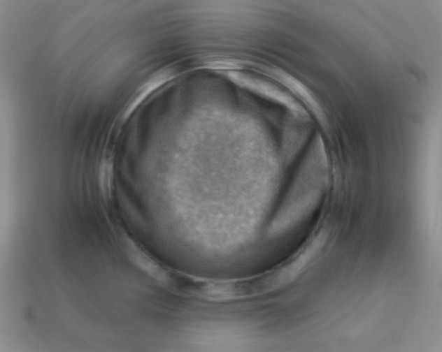 X0000113591194200910091453