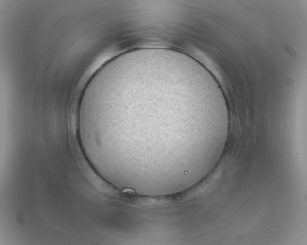 X0000113591195200910091453