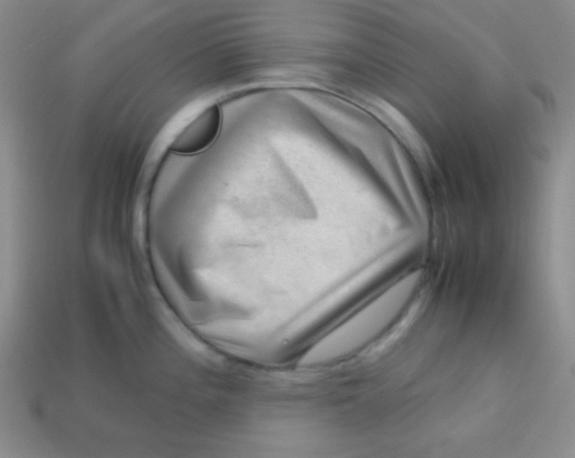 X0000113591196200910091453