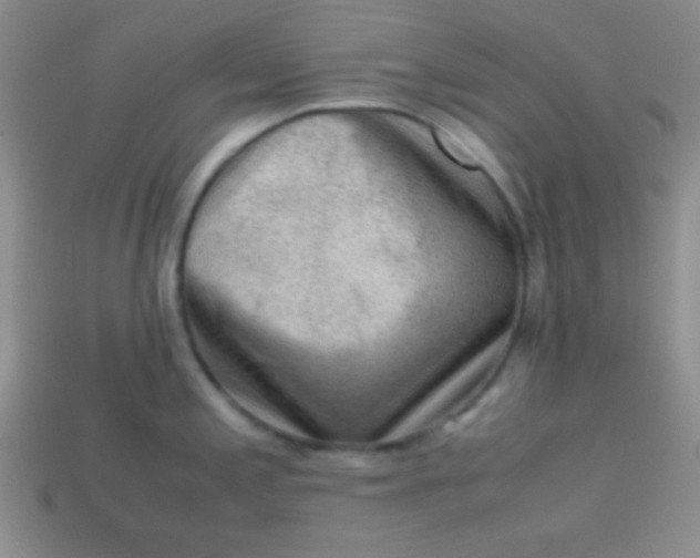 X0000113591197200910091453