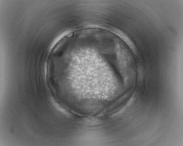 X0000113591198200910091453