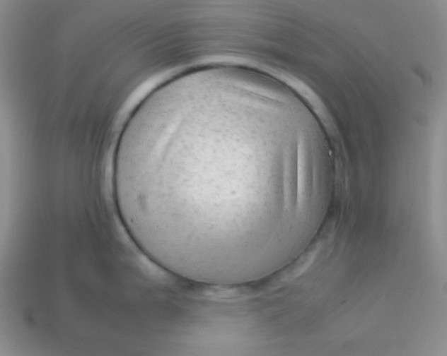 X0000113591199200910091453