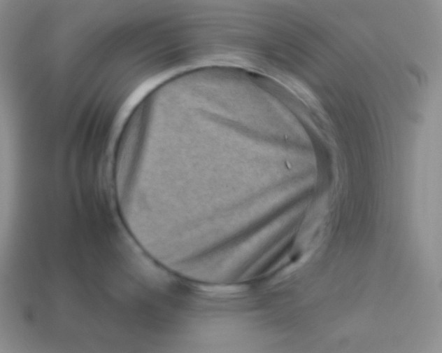 X0000113591200200910091453