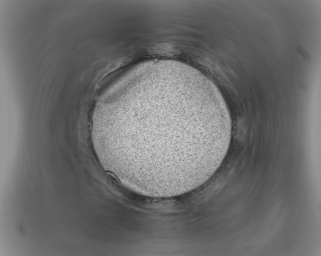 X0000113591201200910091452