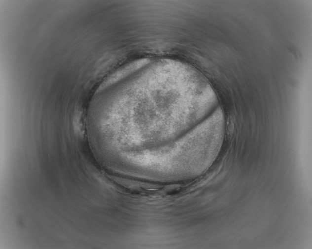 X0000113591202200910091452