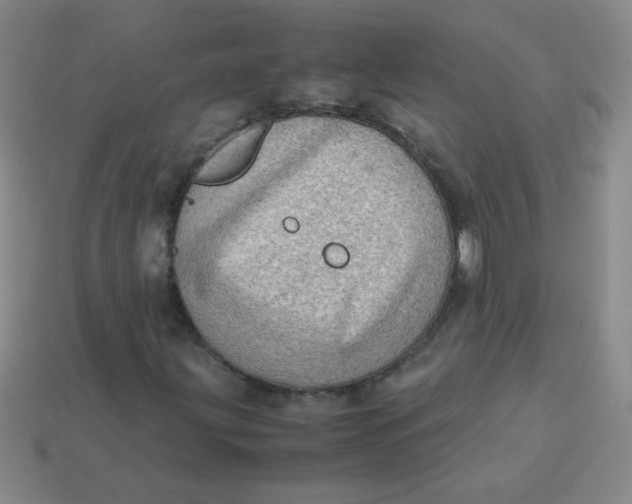 X0000113591203200910091452