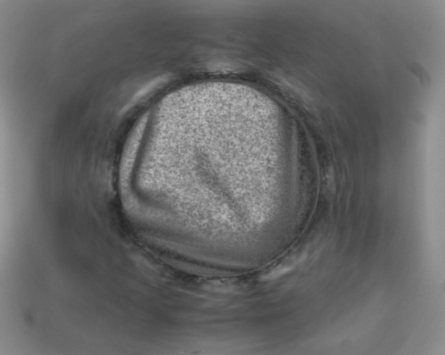 X0000113591205200910091452