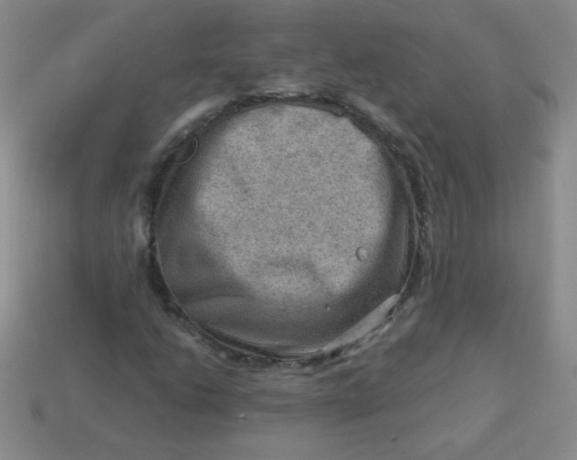 X0000113591206200910091452