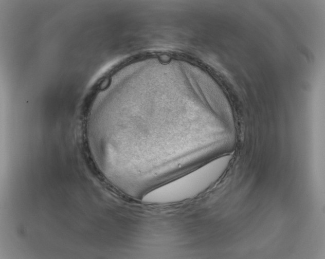 X0000113591208200910091452