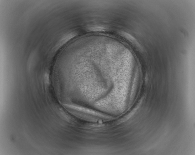 X0000113591209200910091452