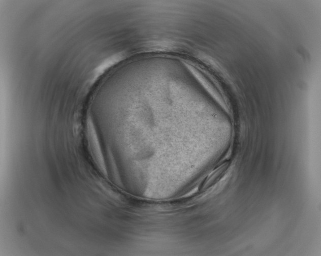 X0000113591210200910091452