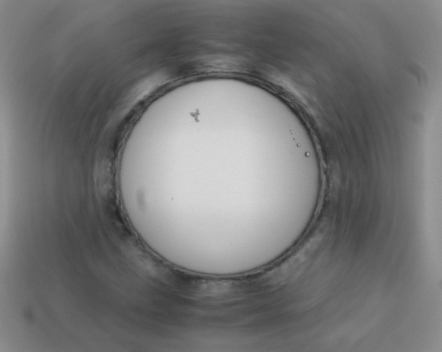 X0000113591211200910091452