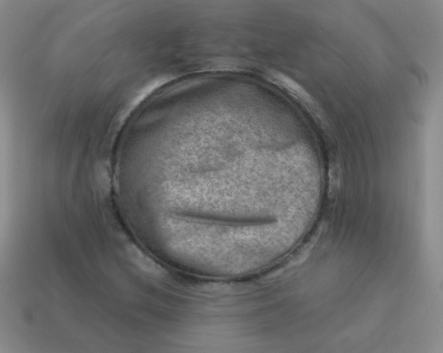 X0000113591212200910091452