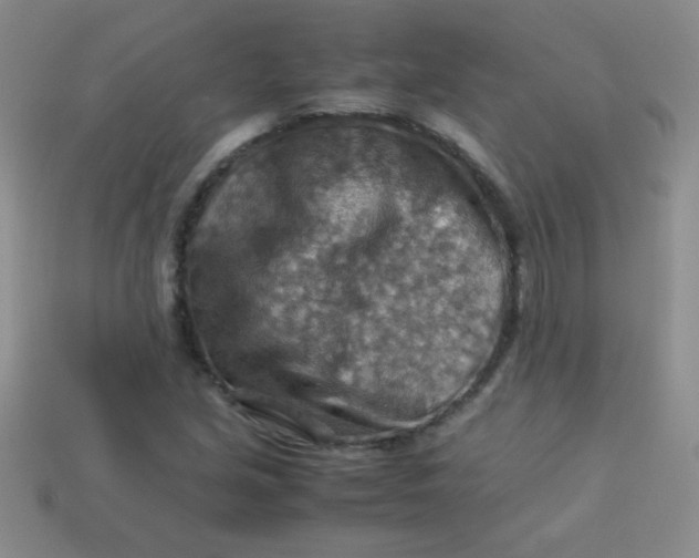 X0000113591213200910091452