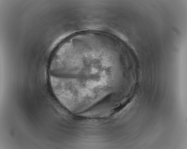 X0000113591214200910091452