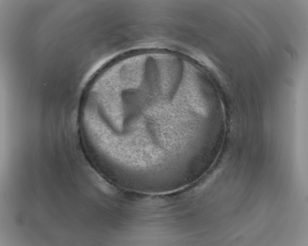 X0000113591216200910091452