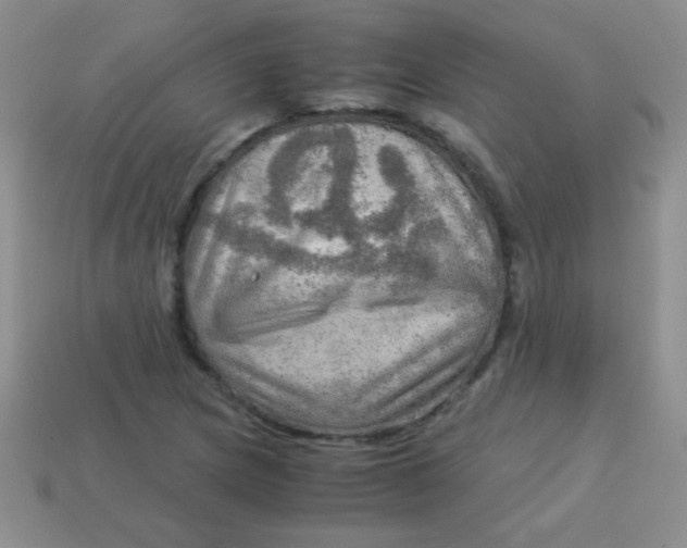 X0000113591217200910091452