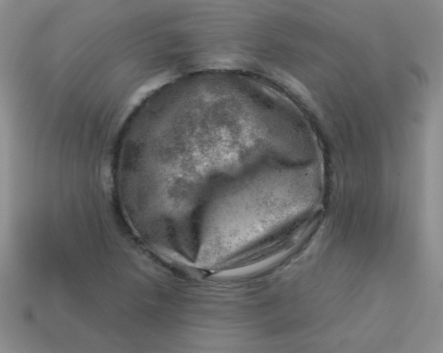 X0000113591218200910091452