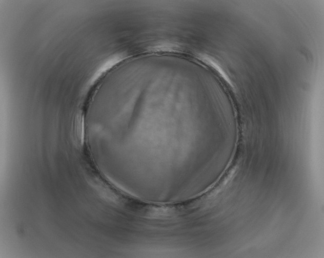 X0000113591219200910091452