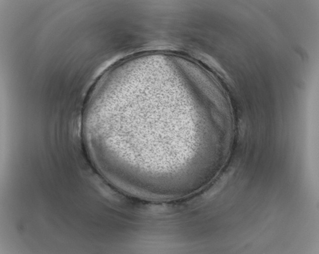 X0000113591220200910091452