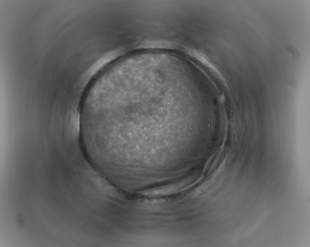 X0000113591221200910091452