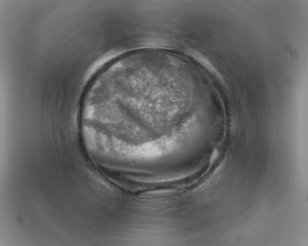 X0000113591222200910091452