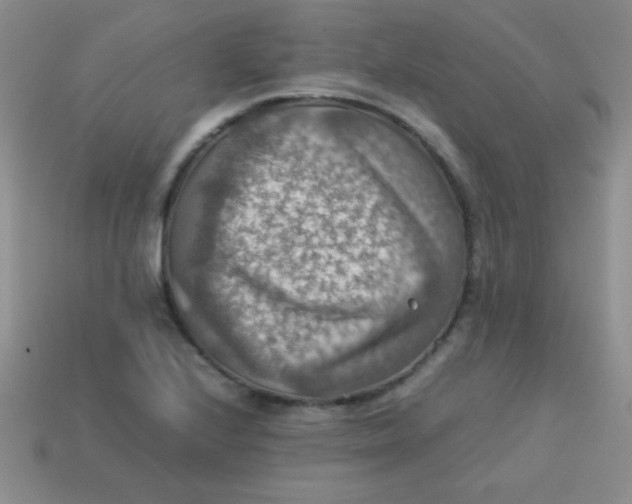 X0000113591224200910091452