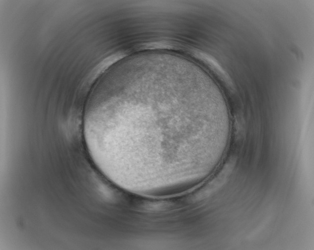 X0000113591225200910091452