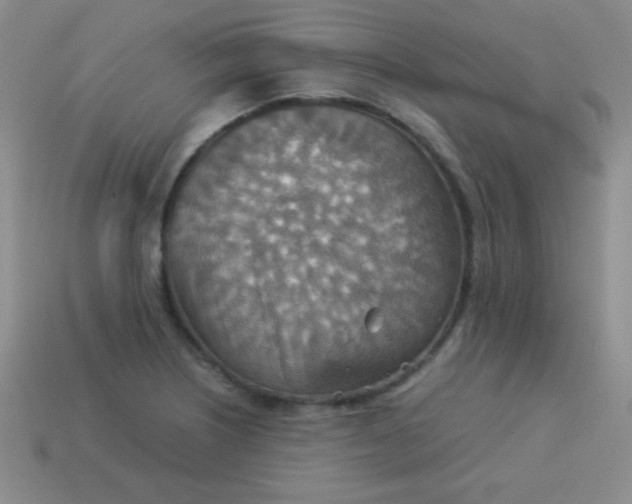 X0000113591226200910091452