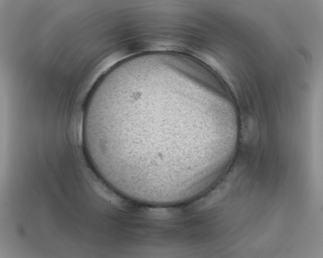 X0000113591227200910091452