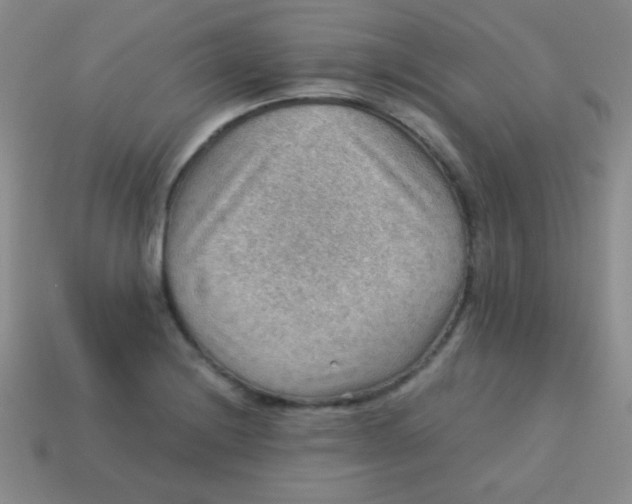 X0000113591228200910091452