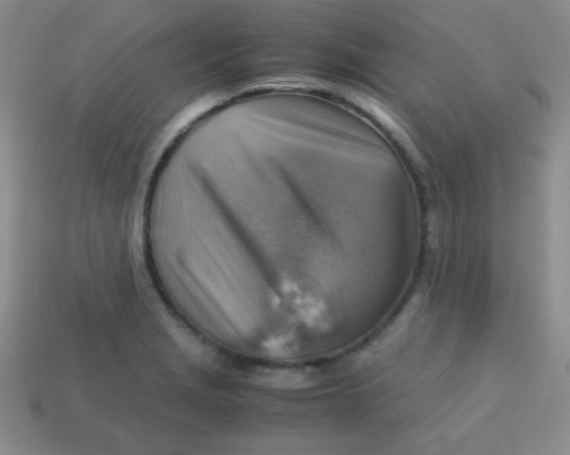 X0000113591229200910091452