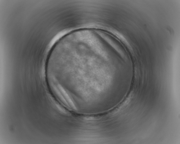 X0000113591230200910091452