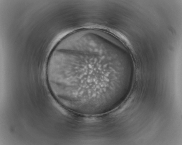 X0000113591231200910091452