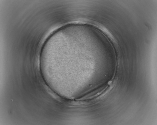 X0000113591232200910091453