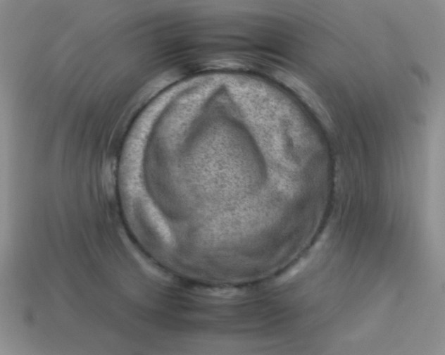 X0000113591233200910091453