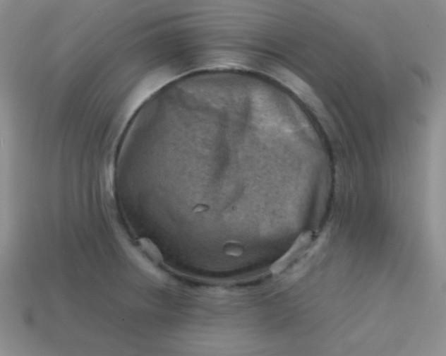 X0000113591234200910091453