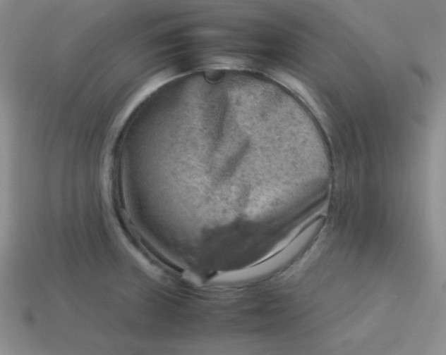 X0000113591235200910091453