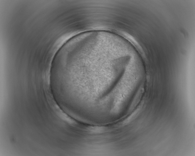 X0000113591236200910091453