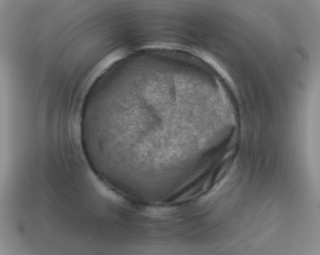 X0000113591237200910091453