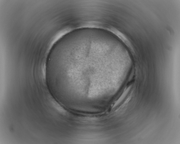 X0000113591238200910091453